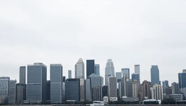 维护软件研发中的检查要点与处理方法